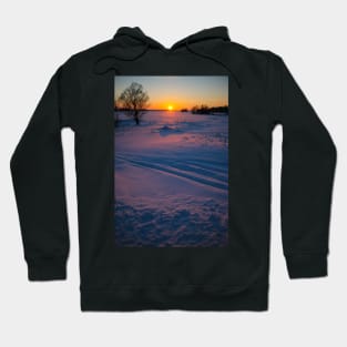 Sunset winter landscape with snow-covered road in violet and pink colors Hoodie